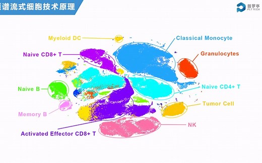 2022.6.16质谱流式技术原理