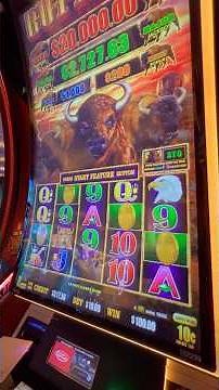 40 Free Games on Buffalo Link #slots #casino #gambling