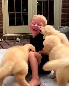 It's amazing he got out of there with his life! 😱 | GOODLAD