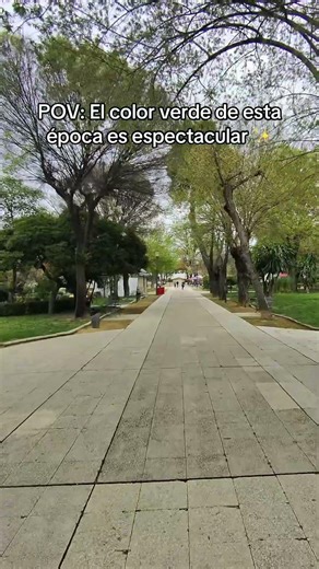 El color de esta época es mágico ✨ #life #viral #pov
