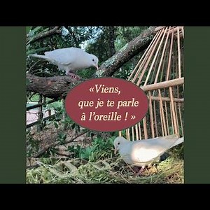 Je bénirai le Seigneur ! (Ps. 33)