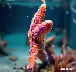 1.7K views · 14 reactions | SmashIsland #DailyGift￼ ￼ Gift Code:EV7B ￼Code redeem limit: 50000 places ￼Try new game, be the #IslandKing: | Smash Island Community | Facebook