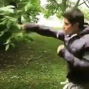 #beastmode #martialarts #danieloneill | Daniel O'Neill