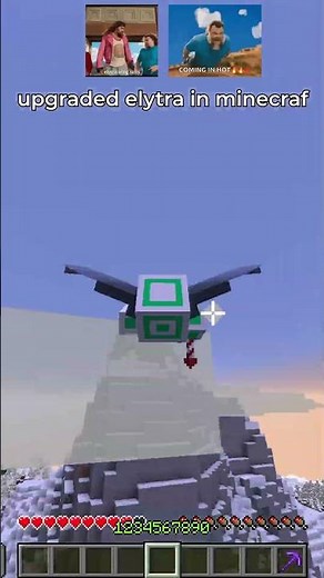 ender dragon elytra in minecraft 🪽💨