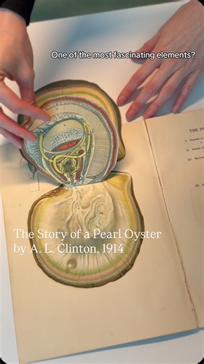 GIA (Gemological Institute of America) | Before advanced imaging, spectroscopy and decades of field research, pearl education relied on creativity and imagination. One of the most... | Instagram