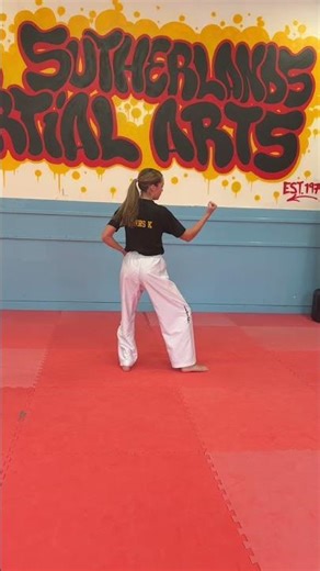 Chon Ji Tul. Practice for beginners, 1 move at a time. #taekwando #pattern #tkd #itf