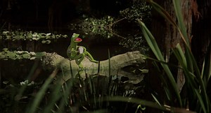 Kermit the Frog sings The Rainbow Connection (1979)