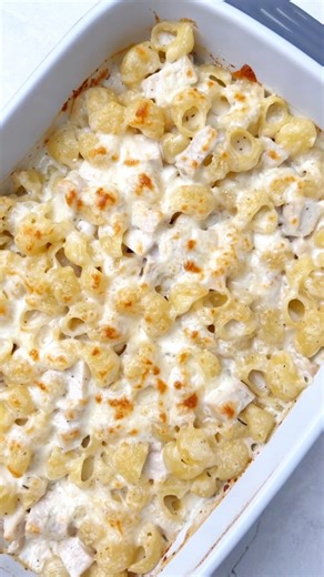 12K views · 77 reactions | CHICKEN ALFREDO PASTA BAKE  are you turning on your oven or no?? 藍  recipe in the comments  | The Recipe Rebel | Facebook