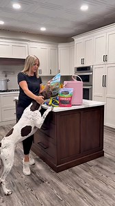 All that packing and all Briar wanted were the treats!! Can’t spill the details yet… but I’ll keep you updated soon! | Cheri Leigh