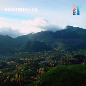 172 reactions · 123 shares | 퐍퐨퐭 퐚퐥퐥 퐧퐚퐭퐮퐫퐞 퐬퐡퐨퐰퐬 퐩퐫퐞퐚퐜퐡 퐞퐯퐨퐥퐮퐭퐢퐨퐧....