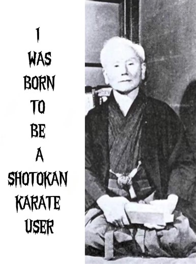 Master Shotokan Karate Techniques for Beginners