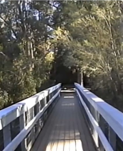 digitizedvideos (@digitizedvideos)’s videos with original sound - HamsterpopXD