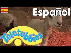 Teletubbies en Español: 106 Capitulos Completos