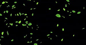 Green Leaves Flying Realistic 3D Slow Motion .