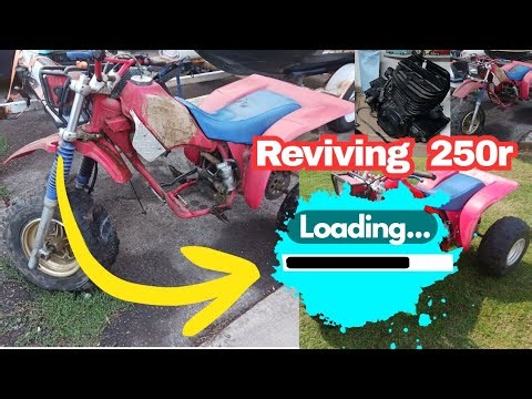 1980s Honda 250r 3 wheeler motor transplant Time-lapse Startup