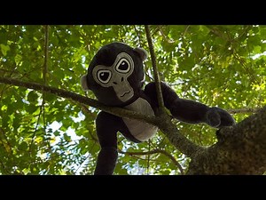 How to take care of your gorilla tag plush ￼(and the fake ones too￼!)