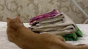 v10044g50000c5rvvirc77ud4qo4k4q0