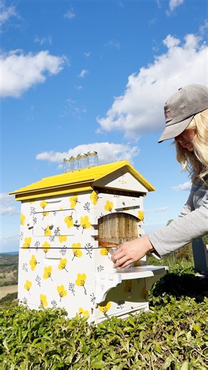 6.3M views · 97K reactions | A Flow Hive offers the perfect introduction into the incredible world of beekeeping and its endless rewards. Education is included, with live Q&As with the inventor every Tuesday.  Works in all climates 襤 Incredible tasting honey ⌛ Harvest directly to your jar  Education included  Ships from the US, AU, UK Flow warehouses. Get started this summer with a sweet $130 saving and bonus $50 e-Voucher! | Flow Hive | Facebook