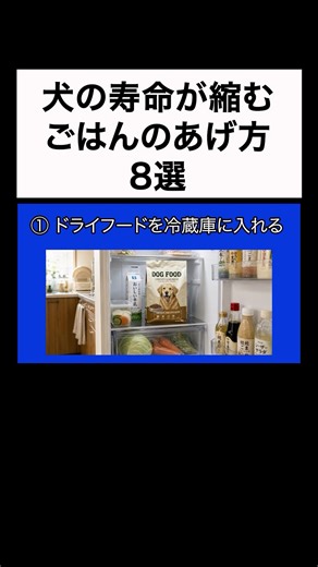 ↑Tap the ▶︎ above for details👆【Veterinarian Warning】8 Common Dog Feeding Mistakes Made by 90% of ...