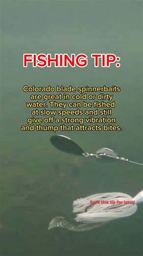 These blades are like dinner bells to bass and their “lateral line” ! Bait = Googan Squad Bumper #bassfishingtips #fishingtips #tipsandtricks | Mystery Tackle Box