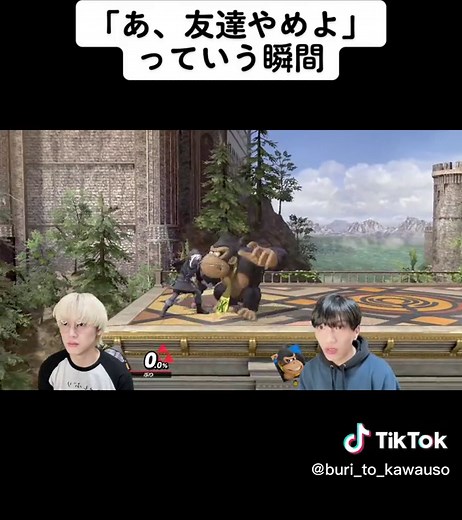 スマブラのブリとカワウソあるある集