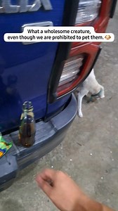 2.9K views · 128 reactions | I was standing beside a store taking my...