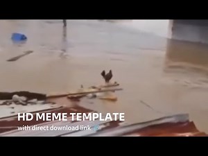 Wilson Lo Siento Meme Clip | Download Link In Comments 🔗