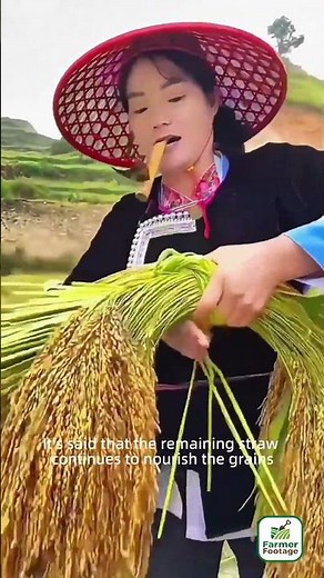 This ancient farming technique is a living fossil of human civilization