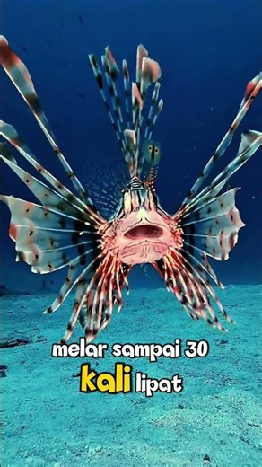 Cantik Tapi Mematikan! 😱 Fakta Unik Lionfish #shorts #animals