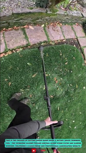 Grass Edge Trimmer Tool: Precision Lawn Border Cutting Along Stone Path