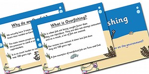 Under the Sea Overfishing PowerPoint