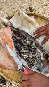 1.7M views · 8.3K reactions | Squid with free fish 撚 | Team Isla | Facebook