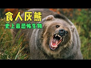 The horrible grizzly bear attack incident丨The man escaped from the grizzly bear's mouth