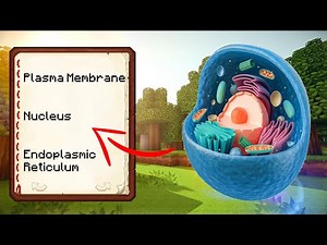 Animal Cell in Minecraft #1 | Plasma Membrane, Nucleus & Endoplasmic Reticulum