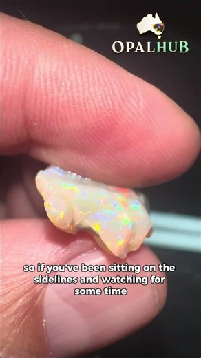 Live Opal Auction Tuesday 7PM | Lightning Ridge Rough, Rubs and Parcels