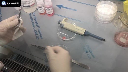 HDRA检测操作培训视频