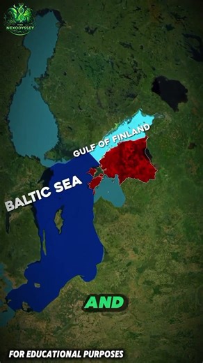 Estonia: The World’s Most Digitally Connected Nation #documentary #usashorts #map#fyp#world