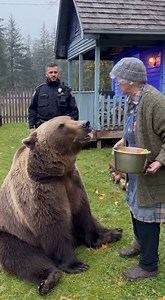 193K views · 4.8K reactions | A peaceful walk turns into an...