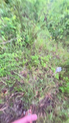 Stunning Sunset Highlights for Everyone to Enjoy