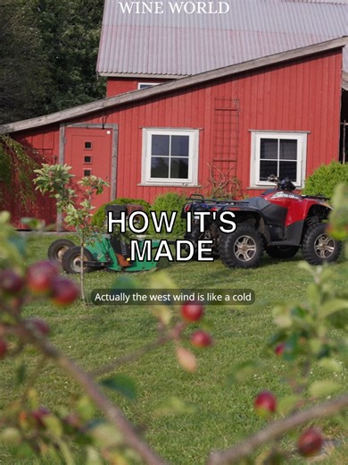 From the documentary – WINES OF NORWAY – How its made – #NorwegianWine #WinesOfNorway #NordicWine #NorwegianVineyards #WineDocumentary #ExtremeWinemaking #MidnightSunWine #winelovers #winepodcast #sommelier