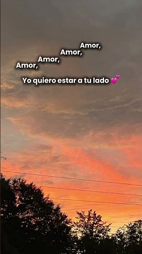 Amor amor amor amor yo quiero estar a tu lado