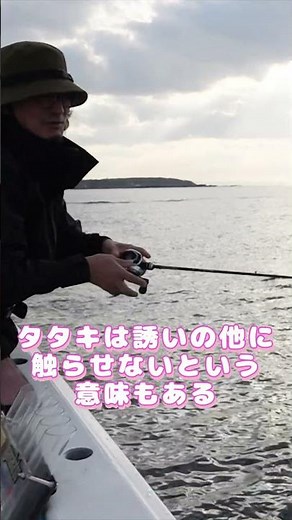 Popular squid fishing! How should I lure them? Explanation of how to lure them #maruika #kiheijim...