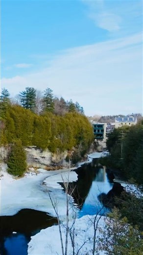 Elora Gorge from above hits different #elora #naturelovers #4k #droneshot #sceniclandscapes