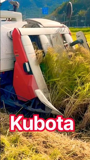 Kubota WR460クボタの60馬力コンバインで刈り取り🏃‍♂️#kubota #harvester #harvesters #コンバイン #combine #農業 #農家 #割倒#割稲