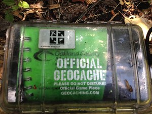 Geocaching: A Beginner's Guide to Treasure Hunting