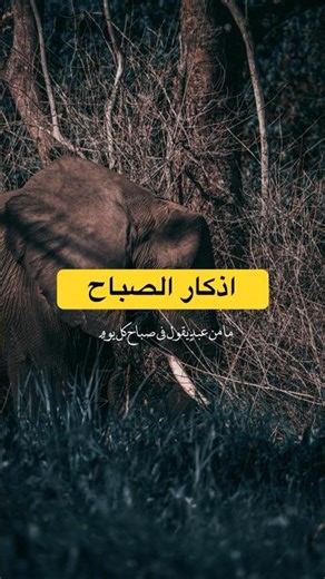 من مهم ان تعرف ! #اذكار_الصباح