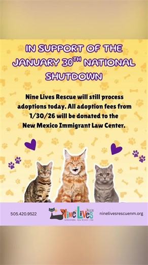 🐾 Adopt a Friend, Support a Cause! 🐾 Even during the January 30th National Shutdown, Nine Lives Rescue NM is still open and matching our amazing cats with their forever families! We believe in community solidarity, so for every adoption finalized today, 100% of the adoption fees will be donated to the New Mexico Immigrant Law Center (NMILC). Why NMILC? The New Mexico Immigrant Law Center is a vital social justice organization dedicated to advancing equity and justice for New Mexico’s immigrant