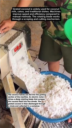 Fast & Practical Automatic Coconut Grater Machine!