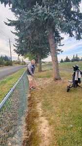 476K views · 945 reactions | Bear-ly in play | Tri Mountain Men's Club | Facebook