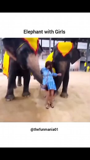 Fun Mania on Instagram: "Why always with boys 😂"